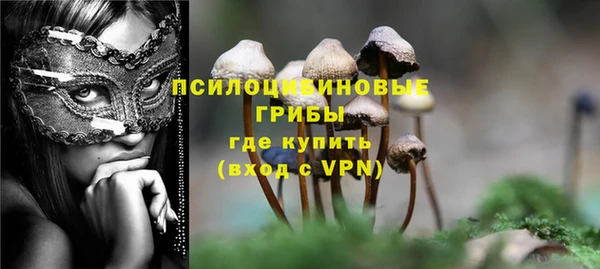 гашик Белокуриха