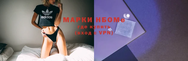 гашик Белокуриха