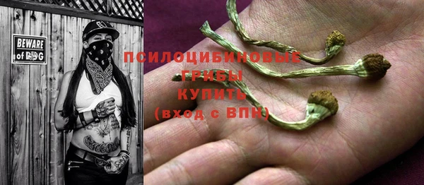 гашик Белокуриха
