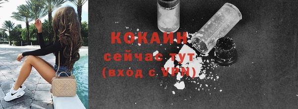 гашик Белокуриха