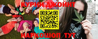 гидра Берёзовский