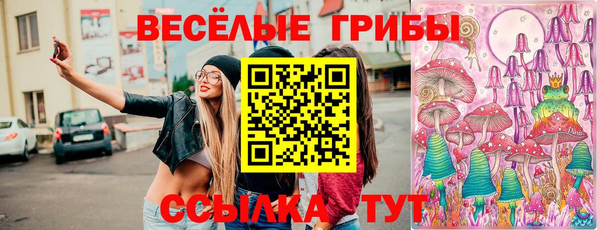 Псилоцибиновые грибы Psilocybe  Псилоцибиновые грибы GOLDEN TEACHER  Бугульма 