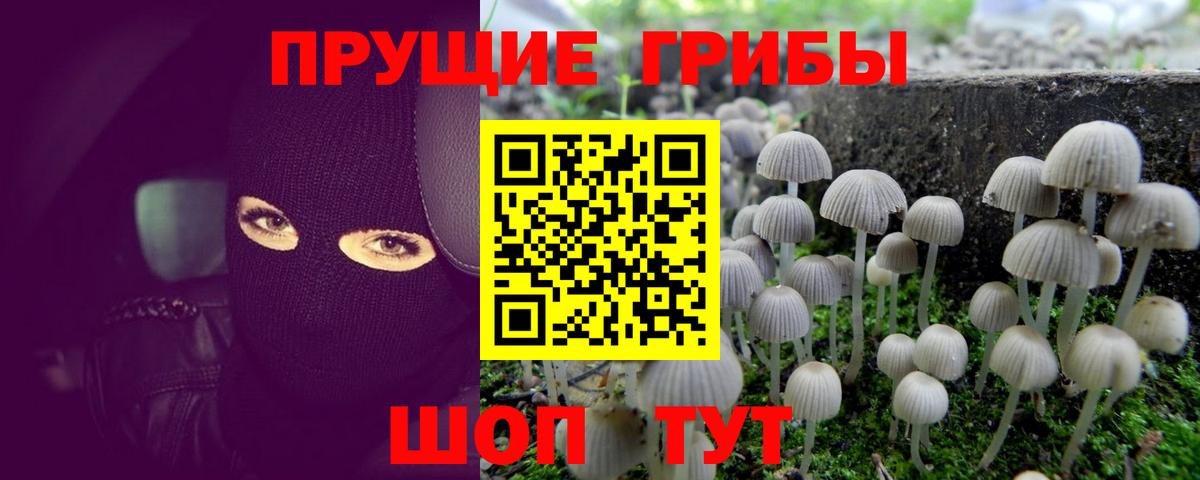 Псилоцибиновые грибы ЛСД  Галлюциногенные грибы MAGIC MUSHROOMS  Бугульма  Вход с VPN 