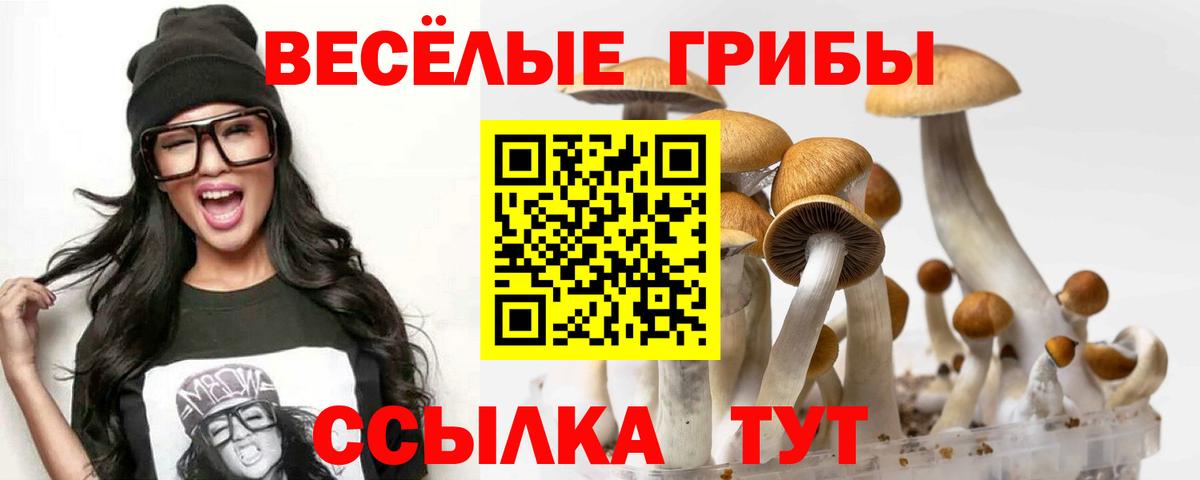 Псилоцибиновые грибы GOLDEN TEACHER Бугульма